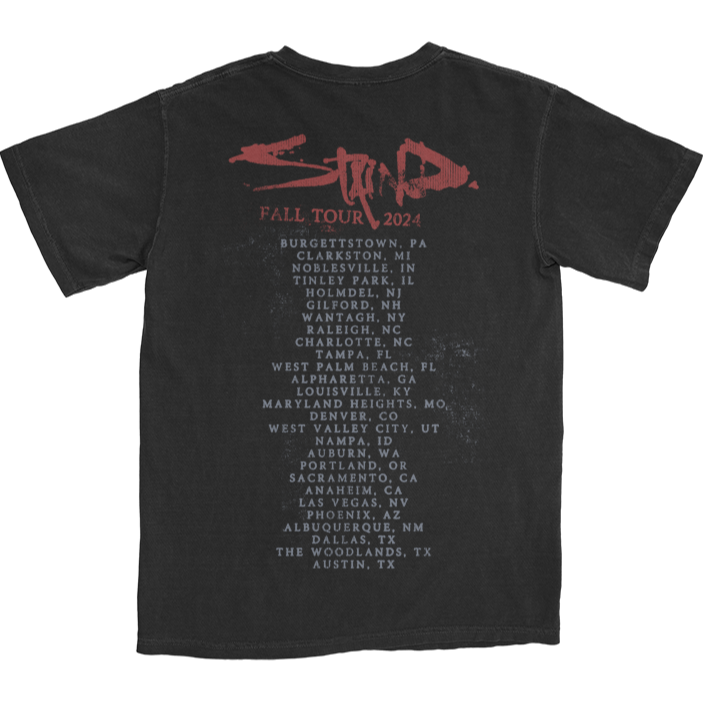 Stacked Logo 2024 Tour Tee
