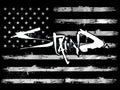 Logo Flag Foil Poster